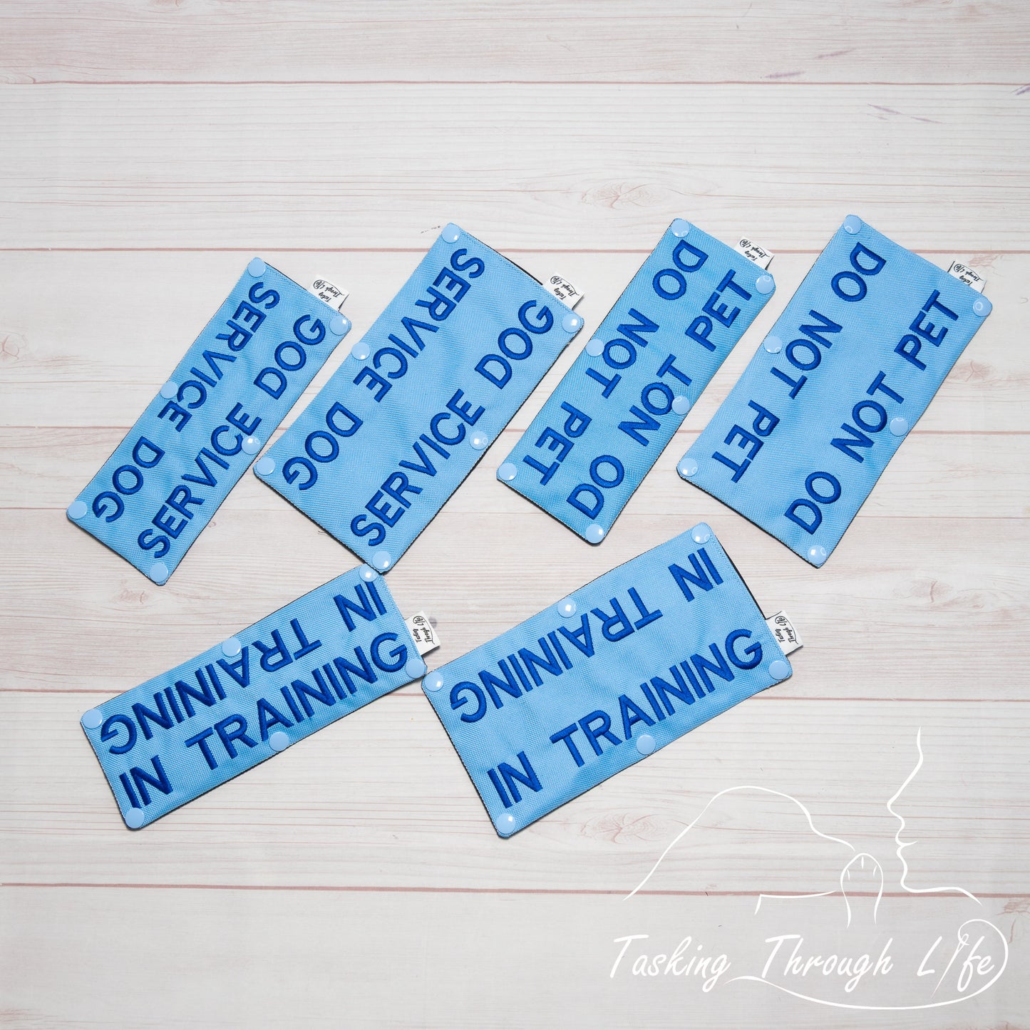 Premade Various Sizes - Cornflower Outlined SD/SDIT (V16)