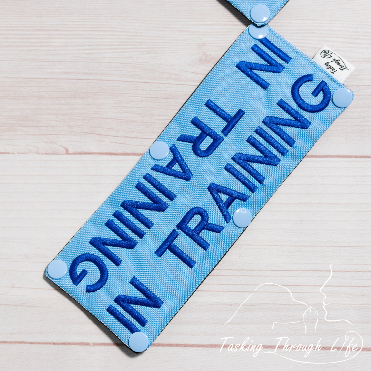 In Training Leash Wrap (V16) - T20