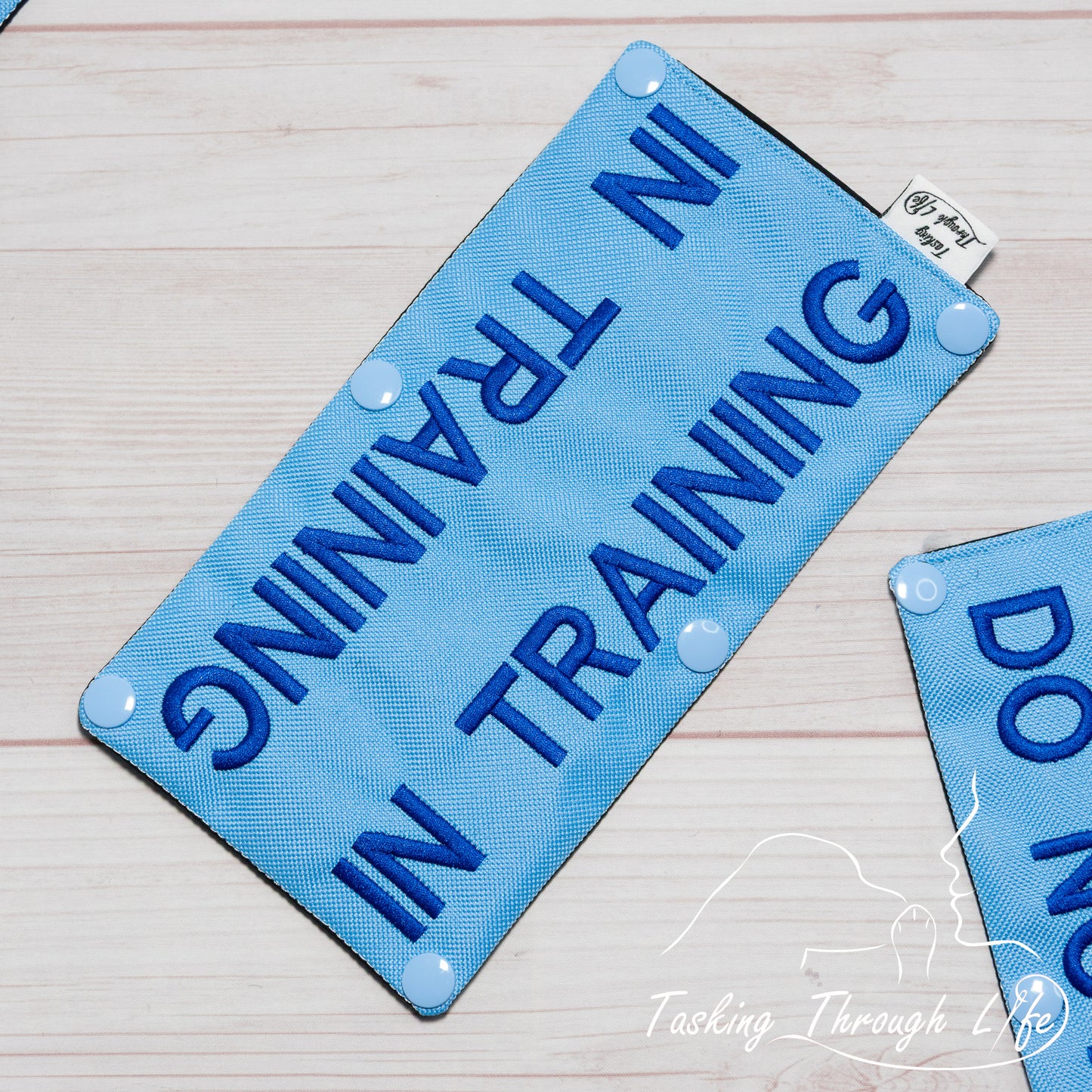 In Training Chest Strap Wrap (V16) - T43