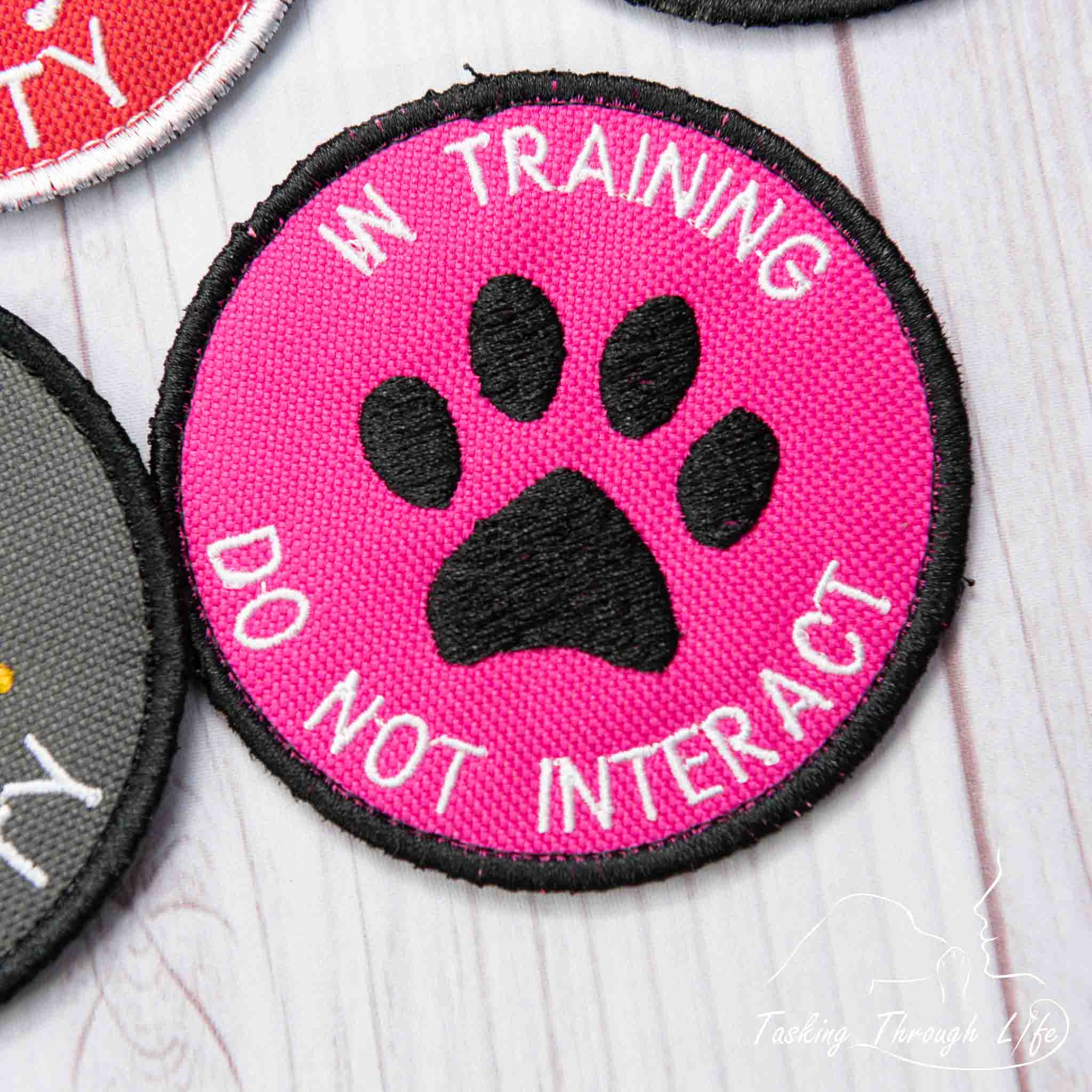 IN TRAINING DO NOT INTERACT 3" Patch P22 Tasking Through LIfe