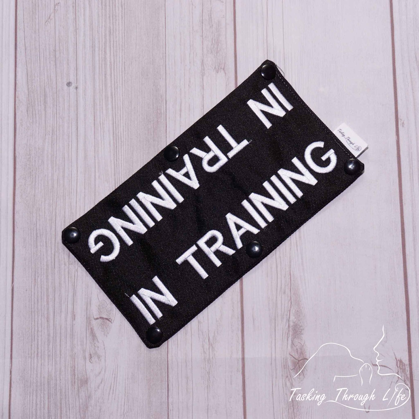 IN TRAINING Chest Strap Wrap (V3) (V11)- T49