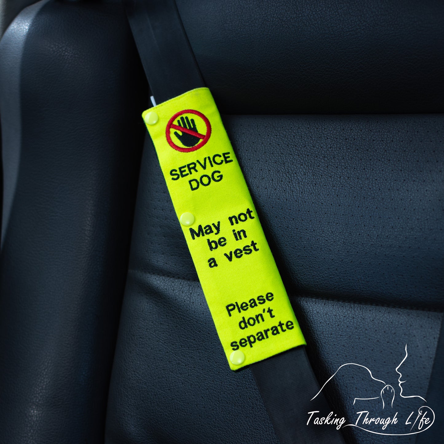 Seatbelt Cover