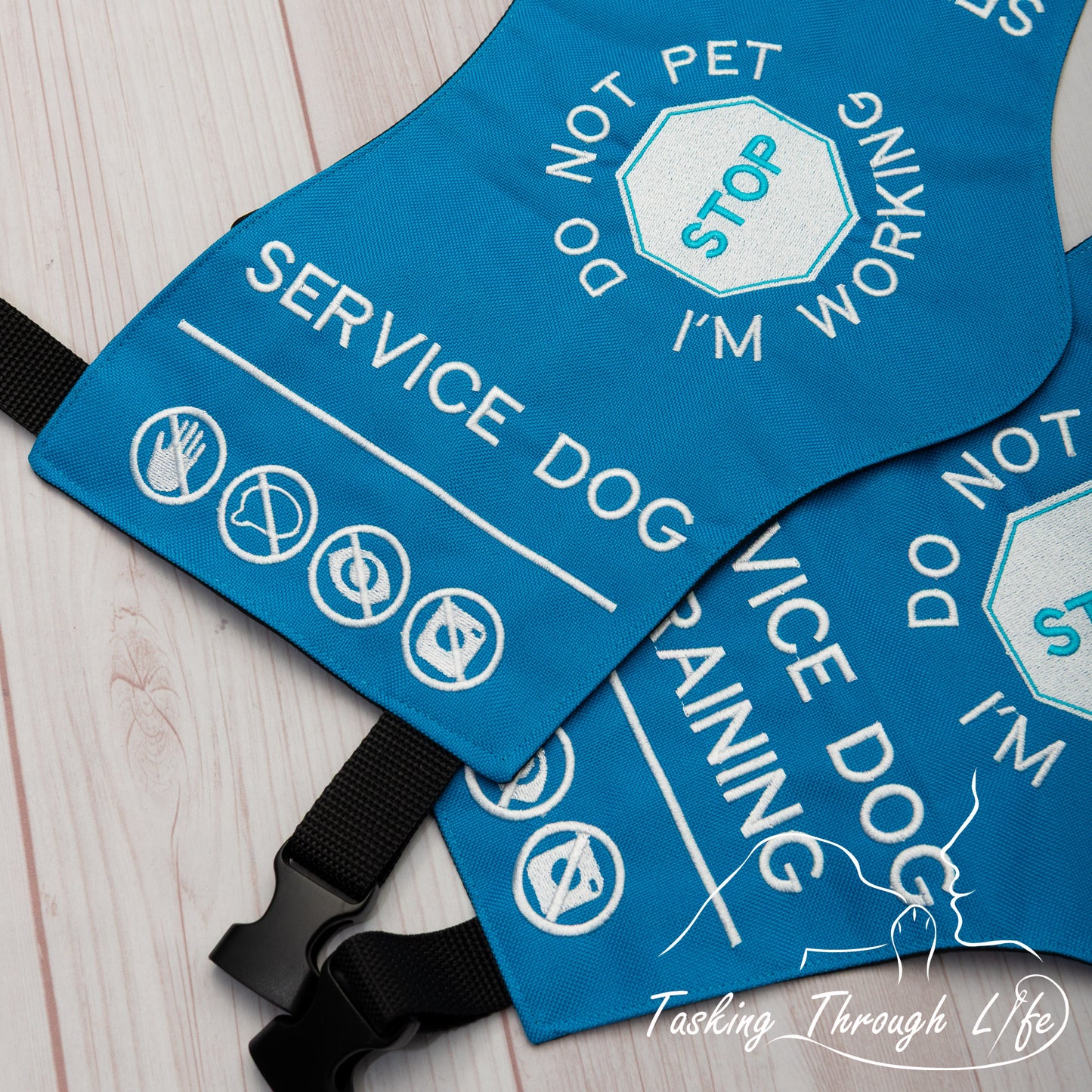 Premade Various Sizes - Cyan and White SDIT/SD (V4)