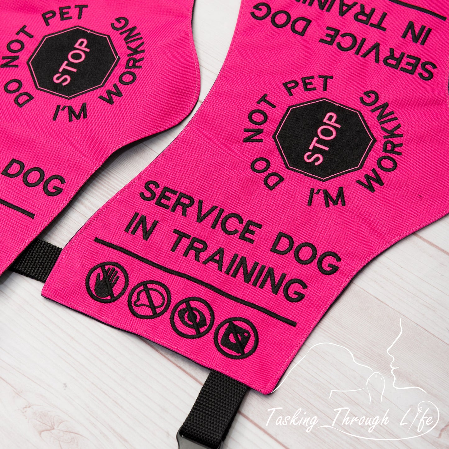 Premade Various Sizes - Magenta and Black SD/SDIT (V5)