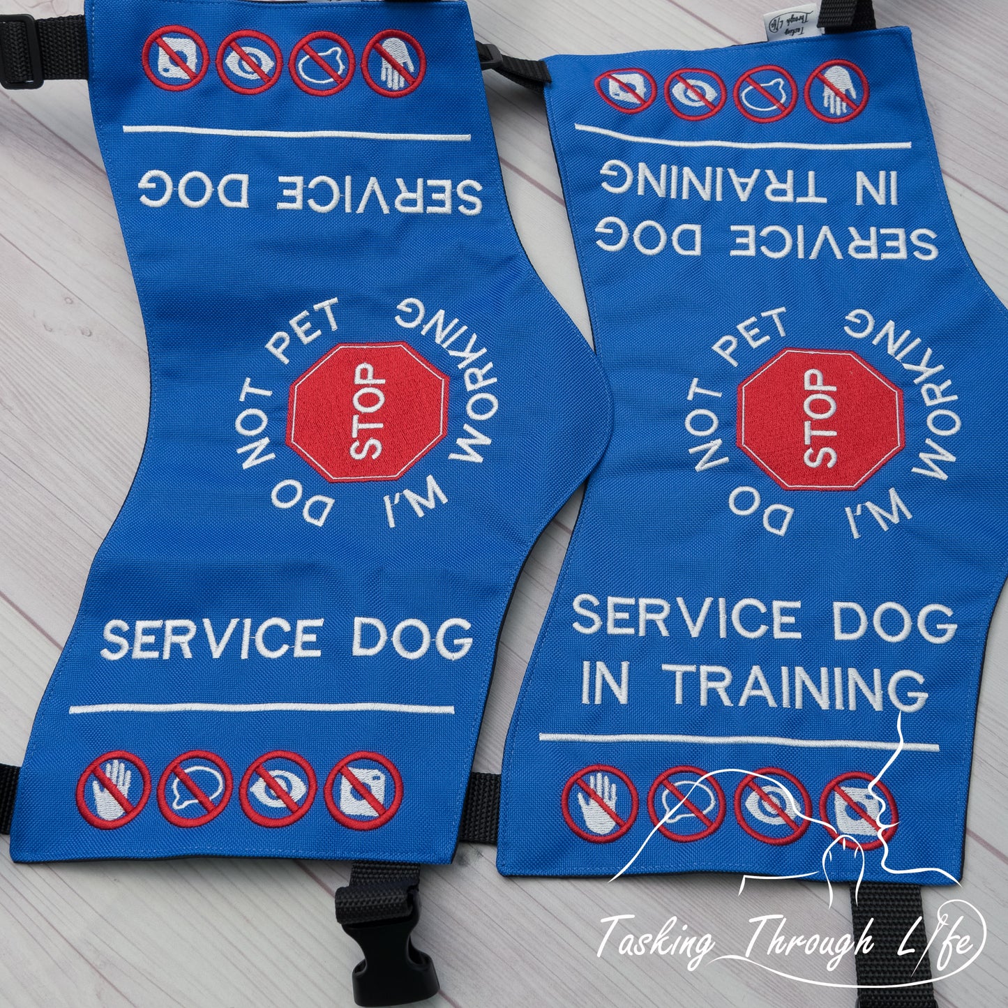 Premade Various Sizes - Indigo and White SD/SDIT (V6)