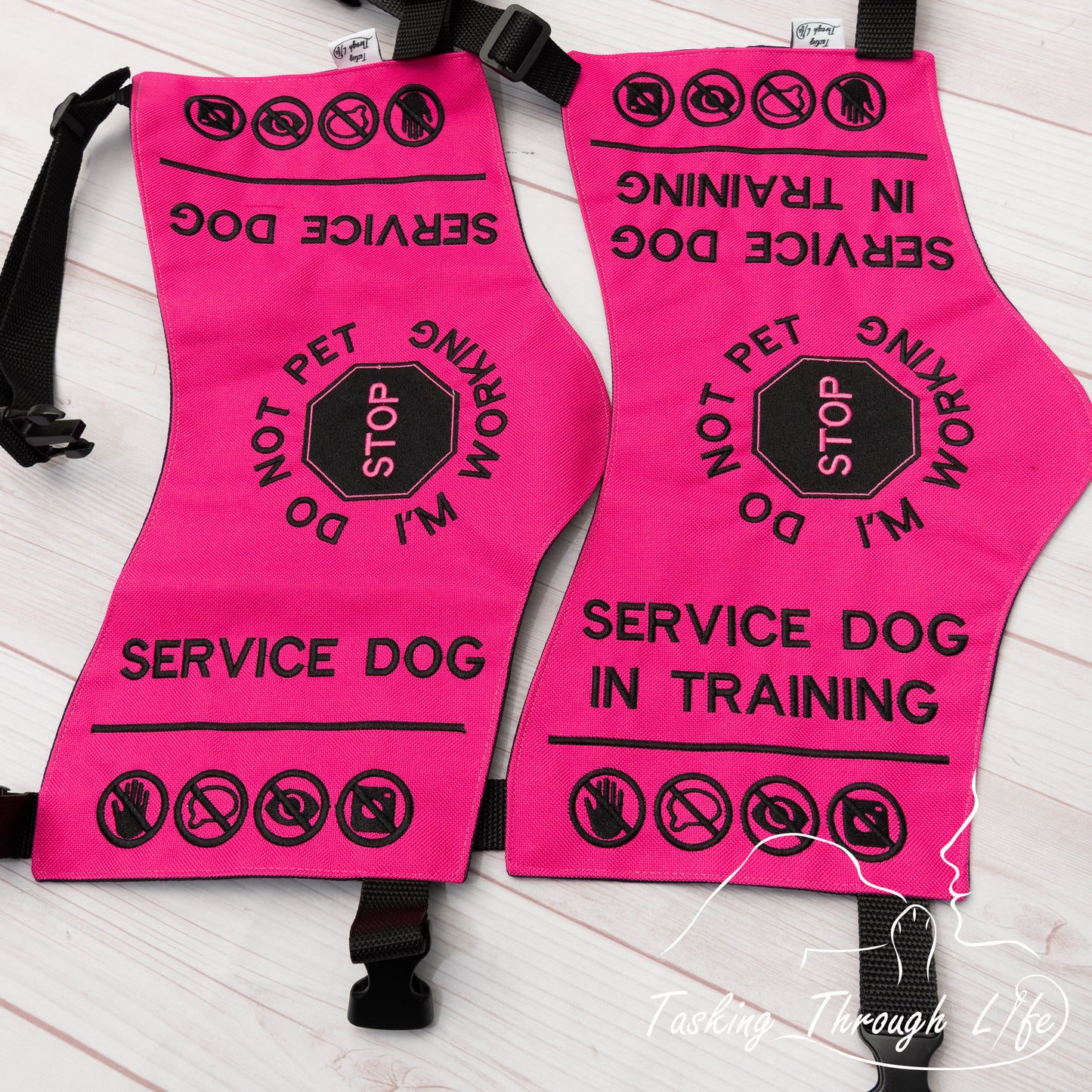 Premade Various Sizes - Magenta and Black SD/SDIT (V5)