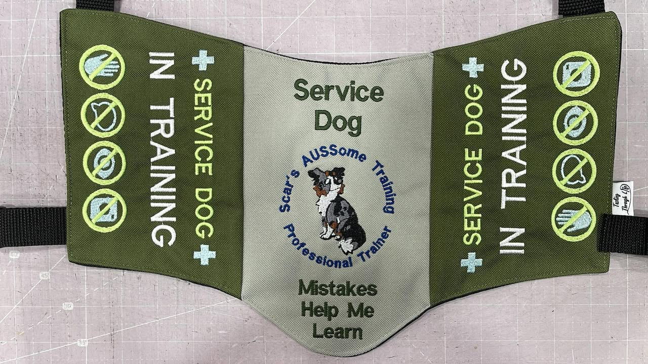 Scar's AUSSome Training Program Vest/Cape