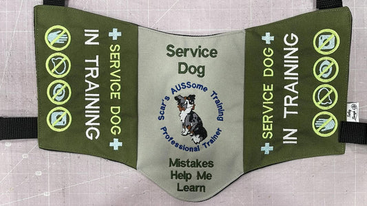 Scar's AUSSome Training Program Vest/Cape