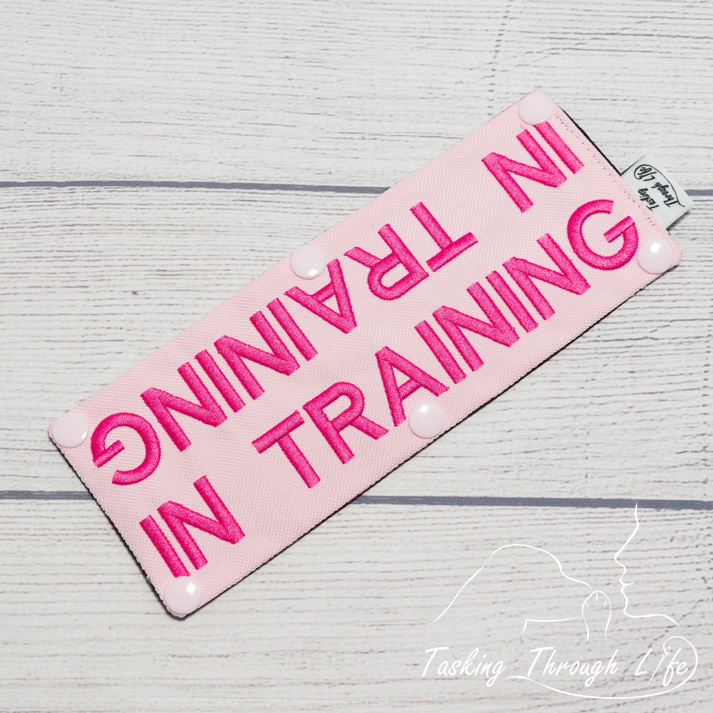 In Training Leash Wrap (V10) - T84
