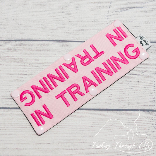 In Training Leash Wrap (V10) - T84