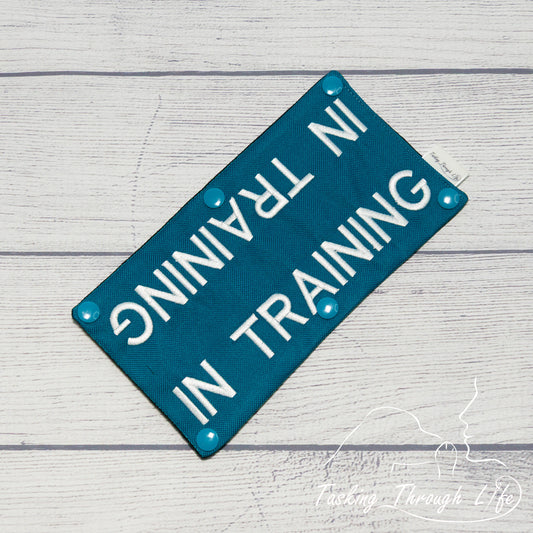 IN TRAINING Chest Strap Wrap (V13) - T110