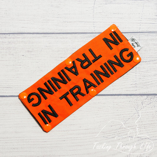 In Training Leash Wrap - T31