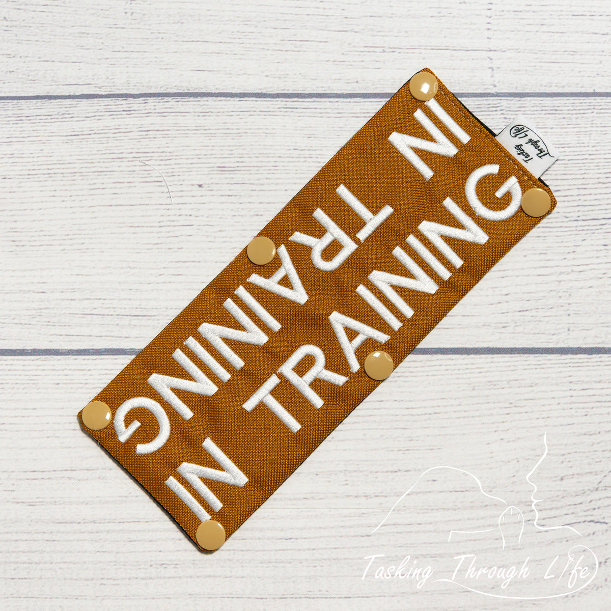 In Training Leash Wrap - T24