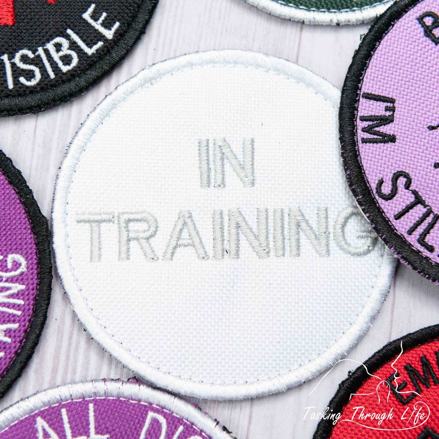 IN TRAINING 3" Patch - P29