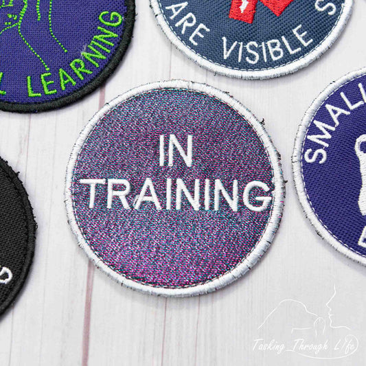 IN TRAINING 3" Patch - P15