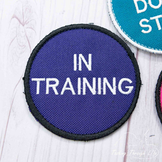 IN TRAINING 3" Patch - P17