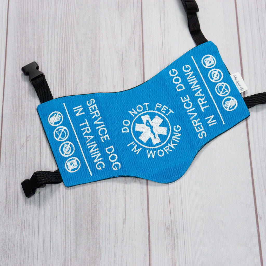 Premade X-Small - Electric Blue and White SDIT