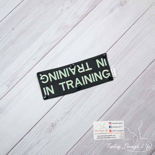 In Training Leash Wrap - T28