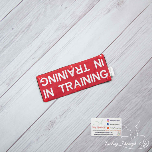 In Training Leash Wrap (V1) - T4