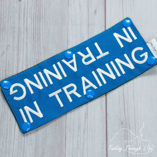 In Training Leash Wrap (V4) - T50