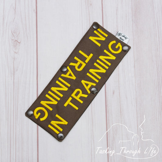 In Training Leash Wrap (V15) - T82