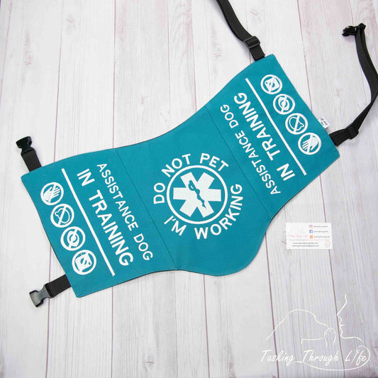 Premade Teal X-Large ADIT