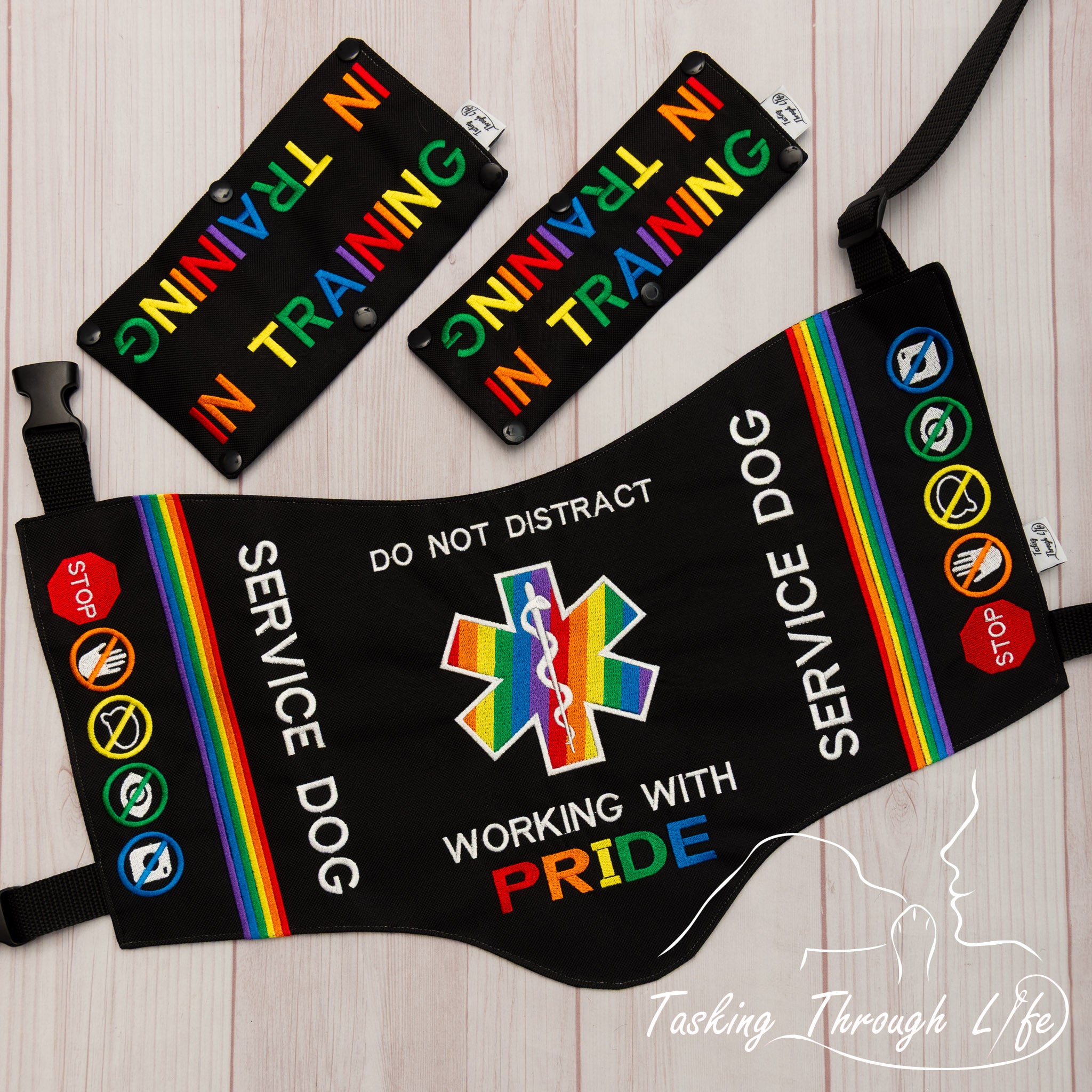 Premade Various Sizes -Show Your Pride SD (V7) – Tasking Through LIfe