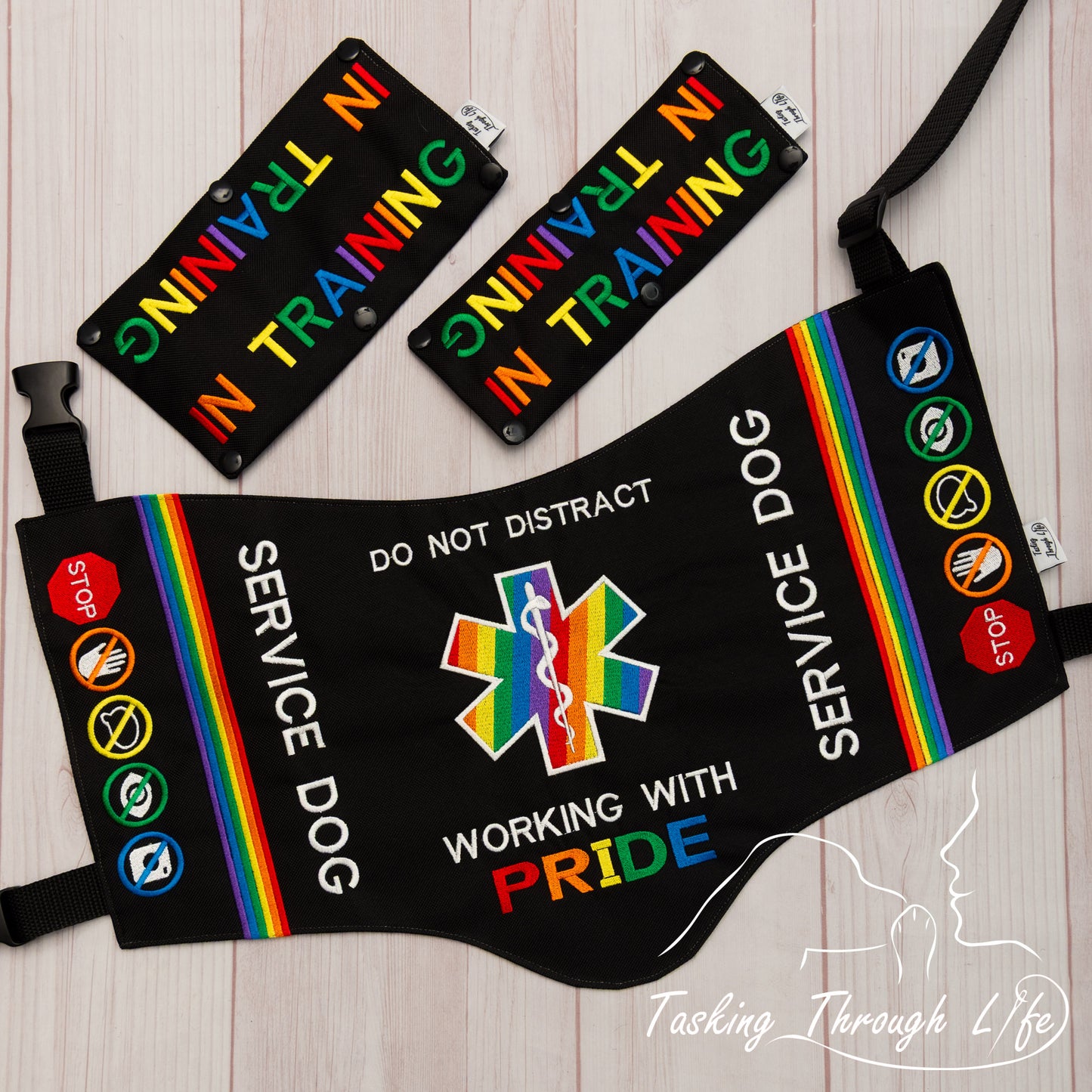 Premade Various Sizes -Show Your Pride SD (V7)