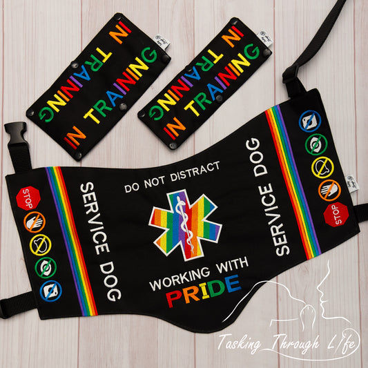 Premade Various Sizes -Show Your Pride SD (V7)