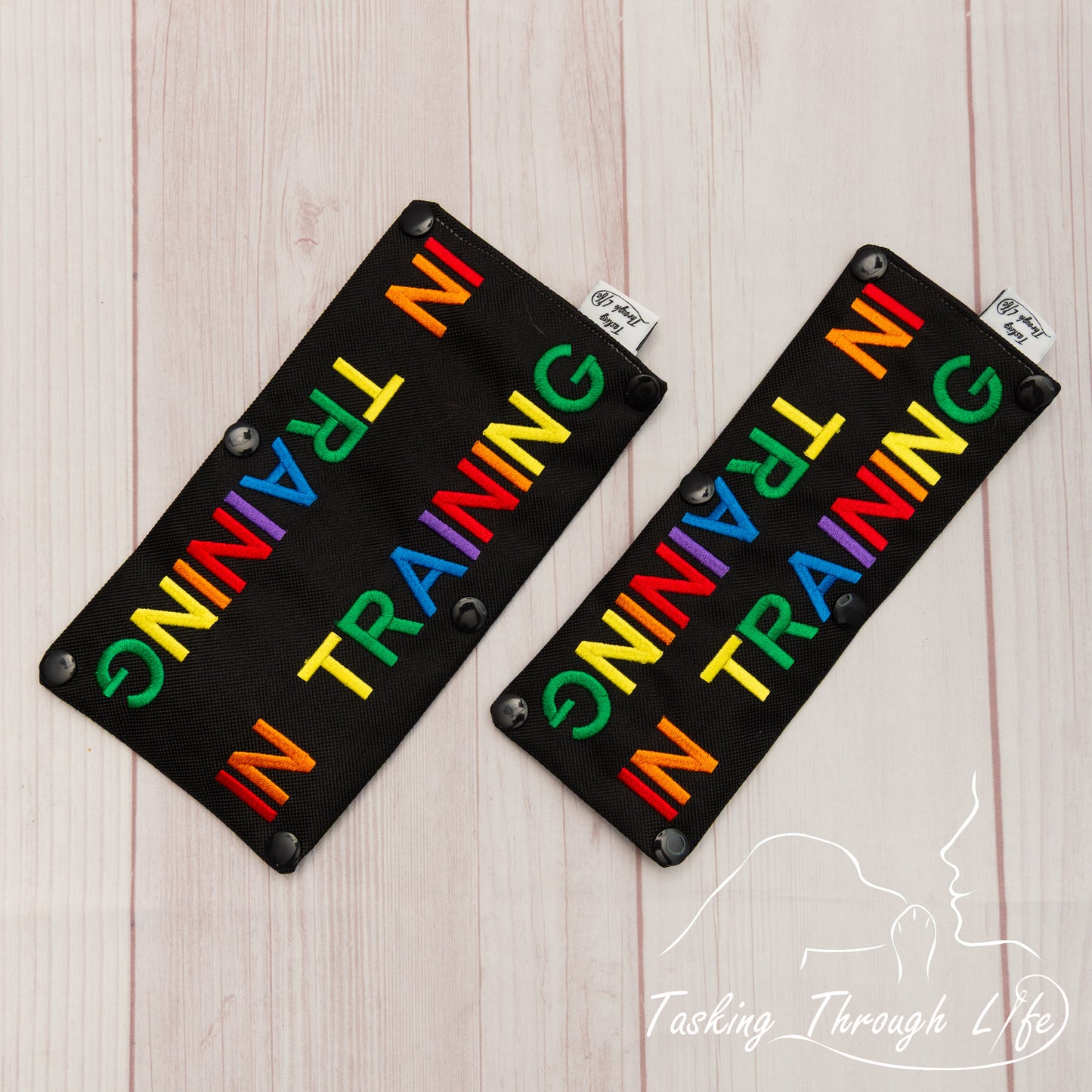 Premade Various Sizes -Show Your Pride SD (V7)