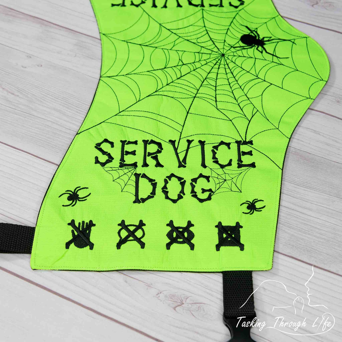 Halloween '24