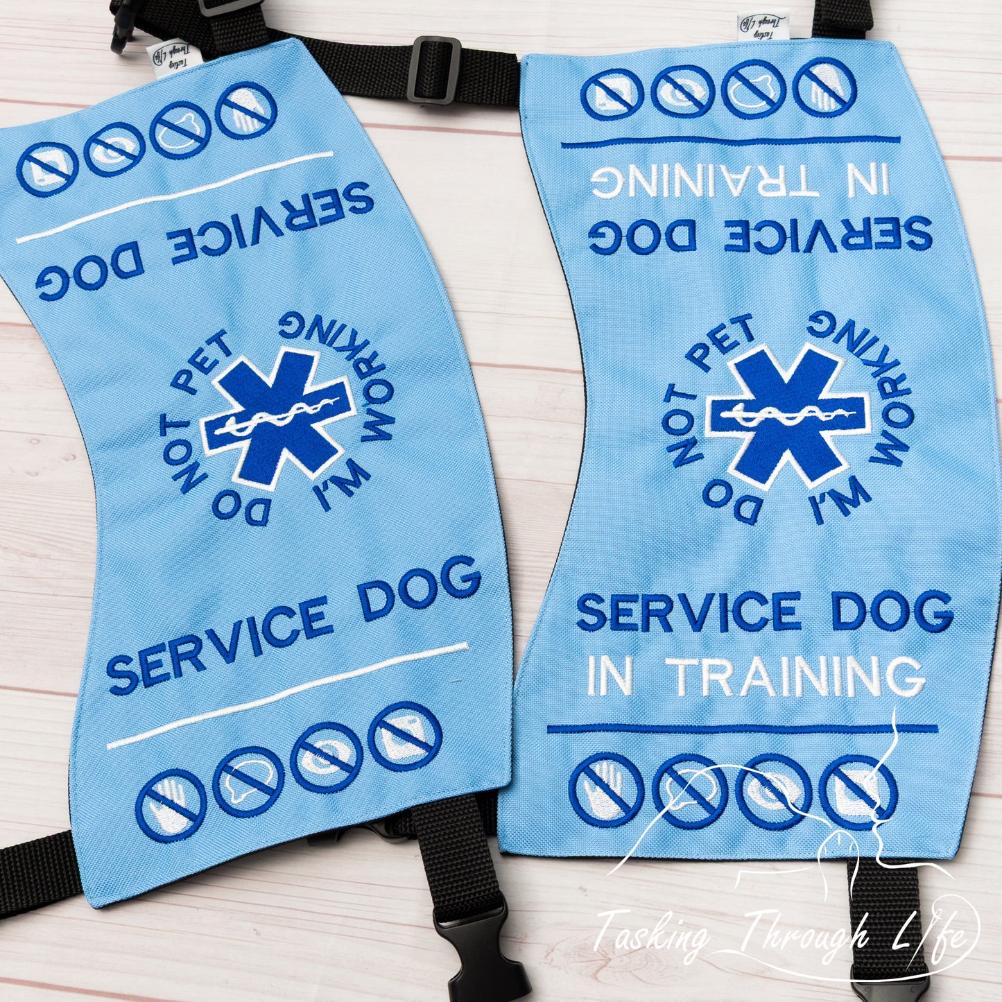 Premade Various Sizes -Cornflower SD/SDIT (V16)