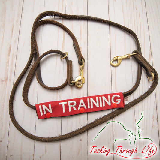 Service Dog Leash Wrap, Leash Sleeve